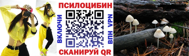 где купить   дарк нет официальный сайт  Галлюциногенные грибы прущие грибы  Будённовск 